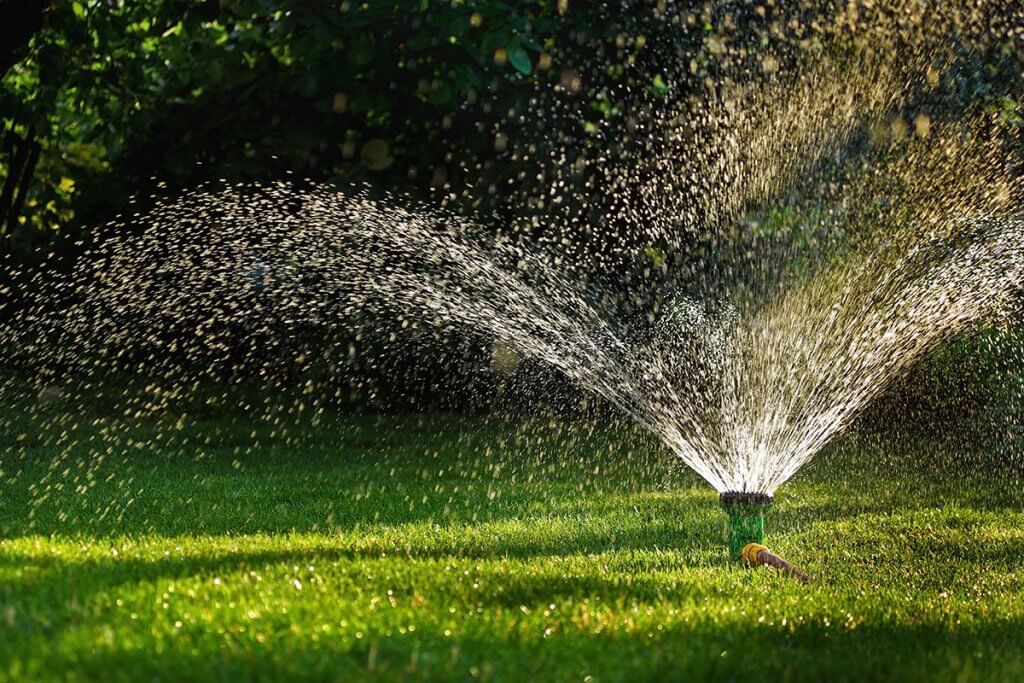 Rasensprenger im Garten