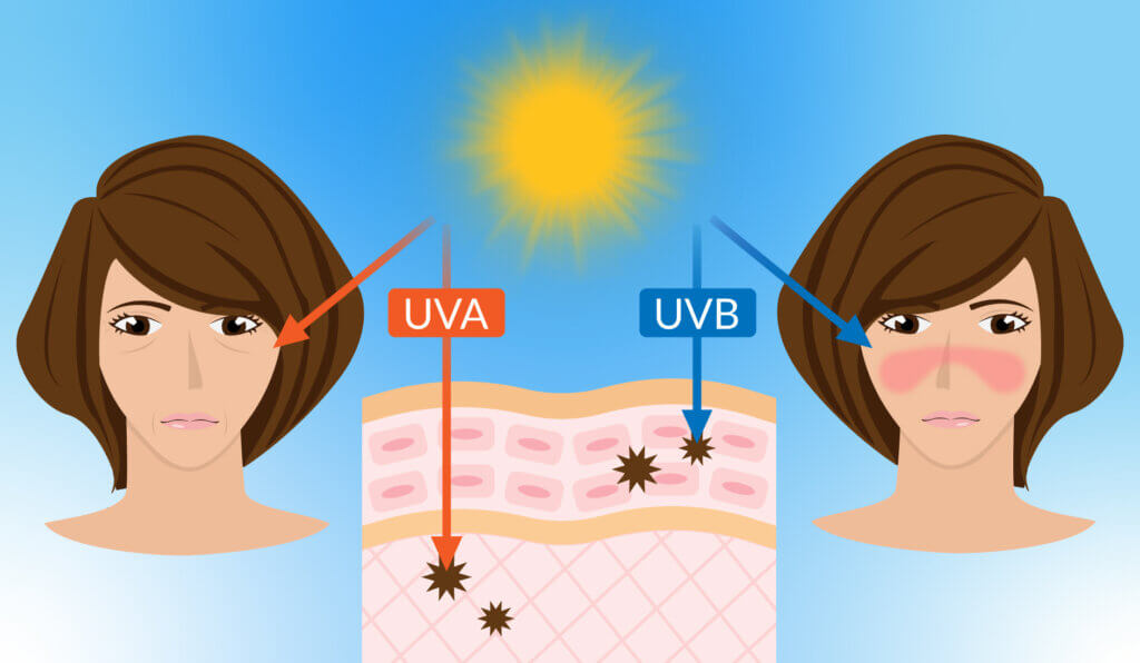 unterschiedliche Wirkung von UVA und UVB