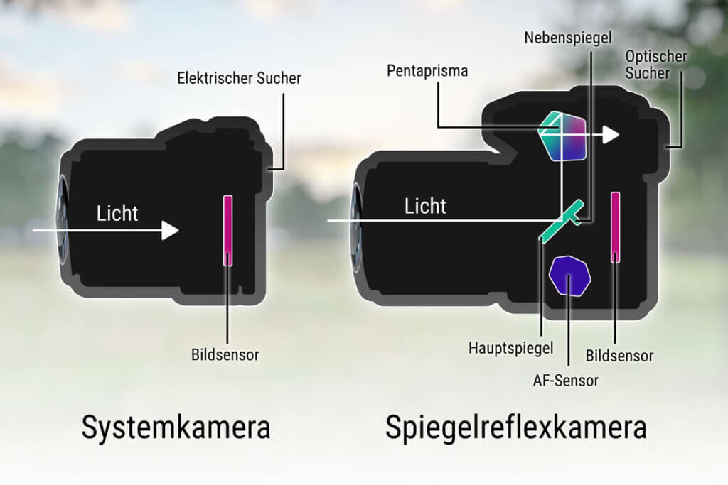 Aufbau Sytemkamera und Spiegelreflexkamera