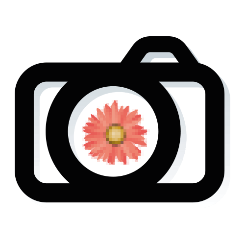 Micro Four-Thirds Sensor
