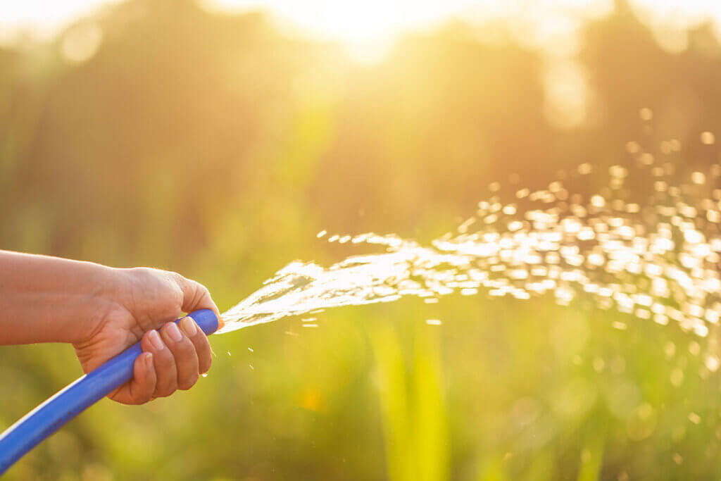 mit einer tauchpumpe gefoerdertes wasser kommt aus gartenschlauch