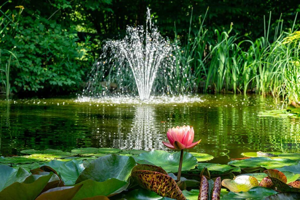 teichpumpe-wasserspiel springbrunnen