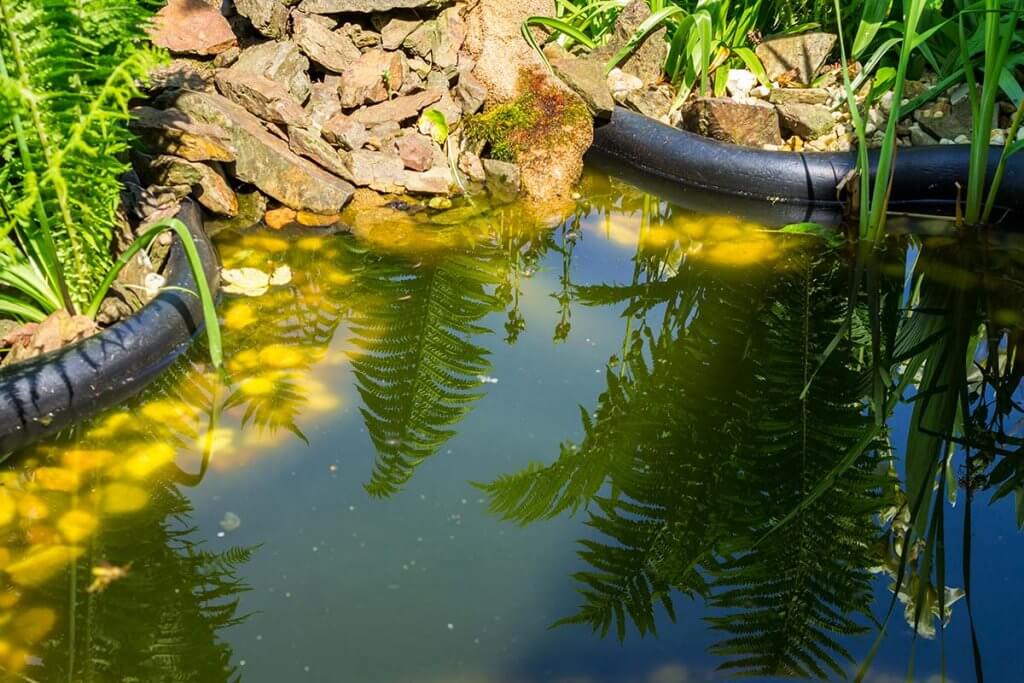 Gartenteich verschmutzt durch Algen