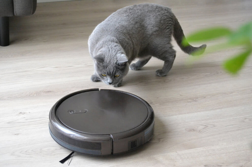 Katze beobachtet Staubsauger-Roboter