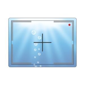 Icon Display