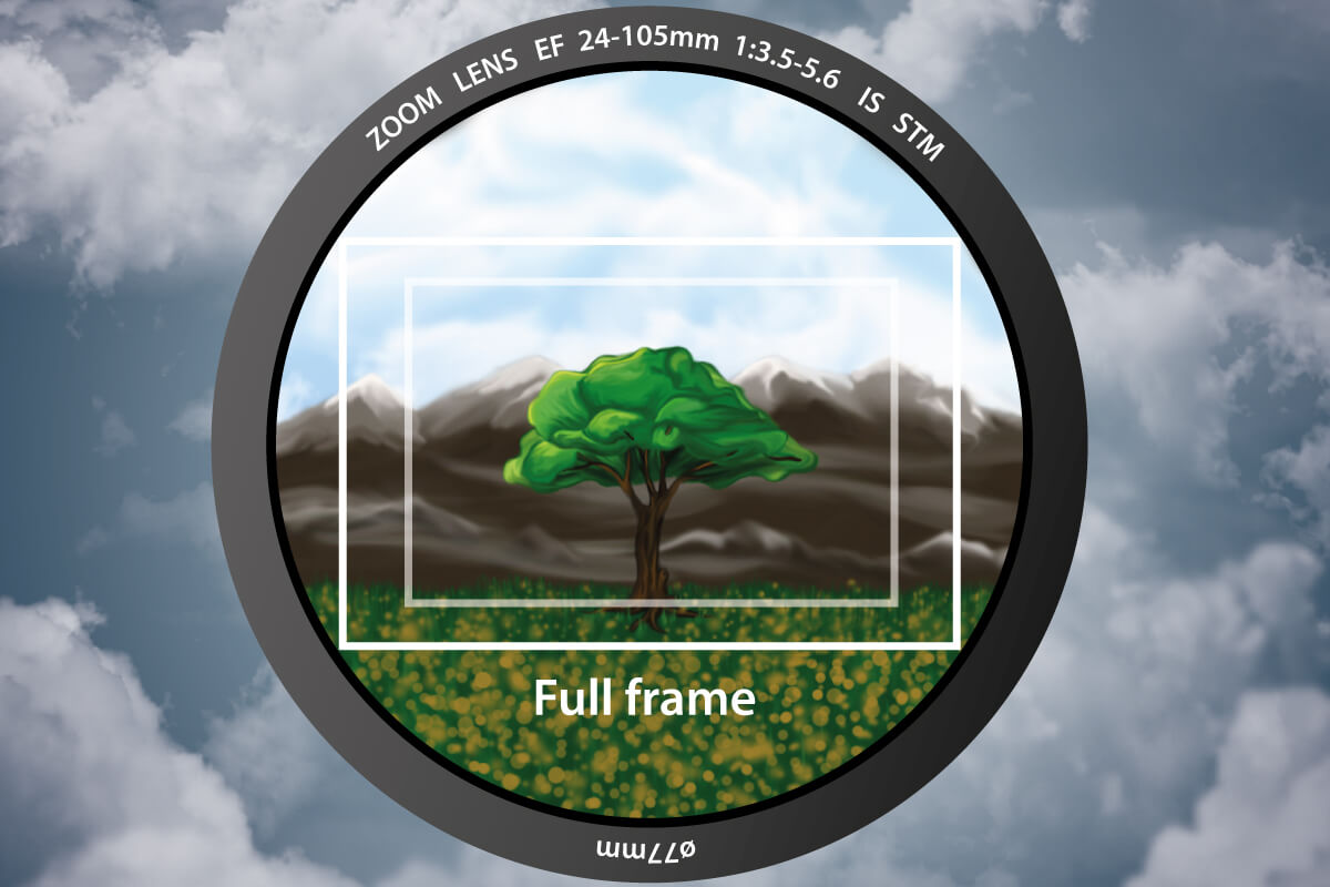 Groessenvergleich Vollformat und Crop-Sensor