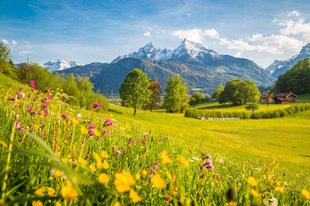 Sommerlandschaft