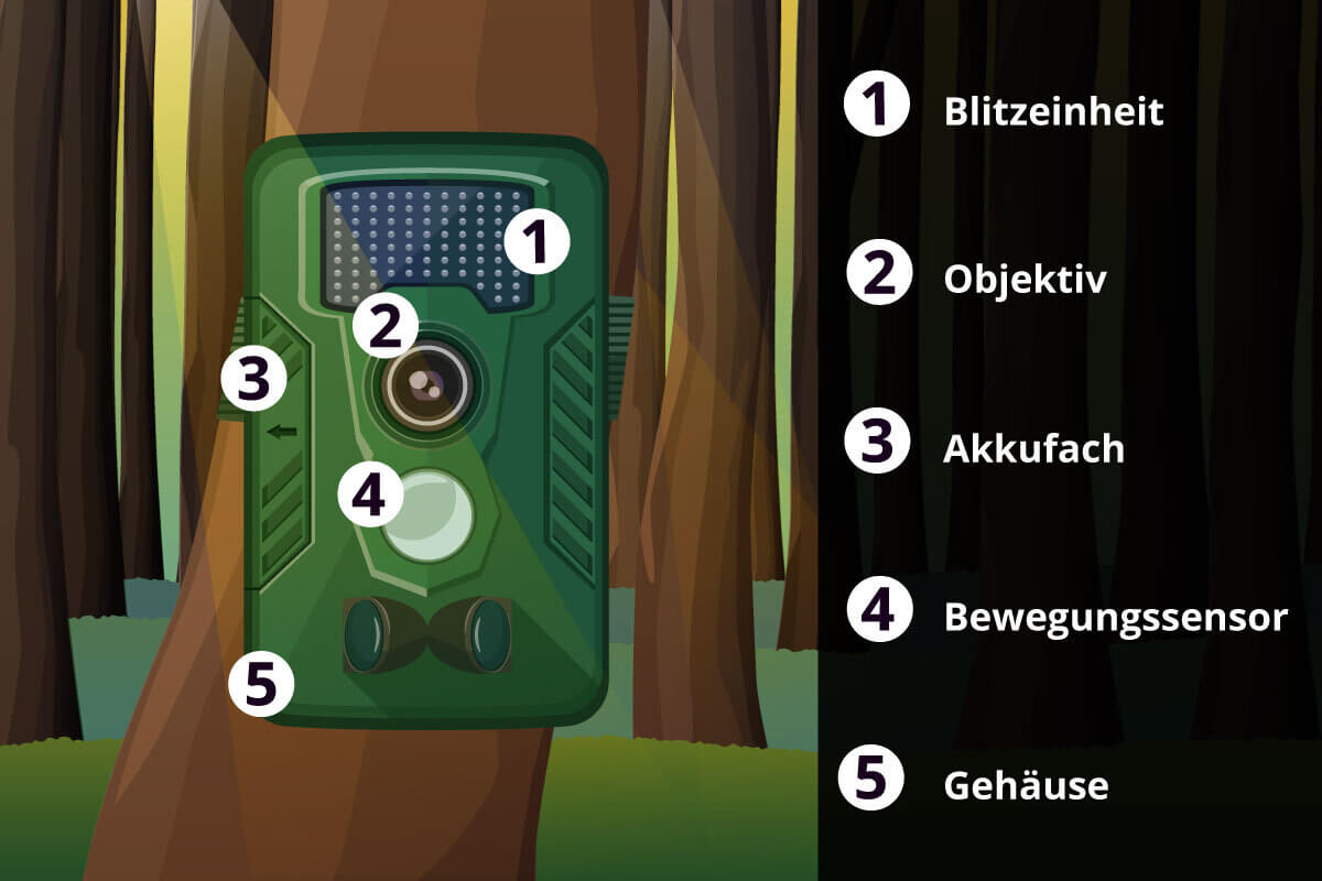 Wildkamera im Bild mit Bestandteilen